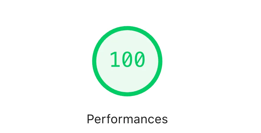 Score de 100/100 sur le critère performance