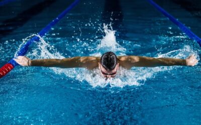 TRIMP vs Foster : quel modèle de calcul de charge choisir ?